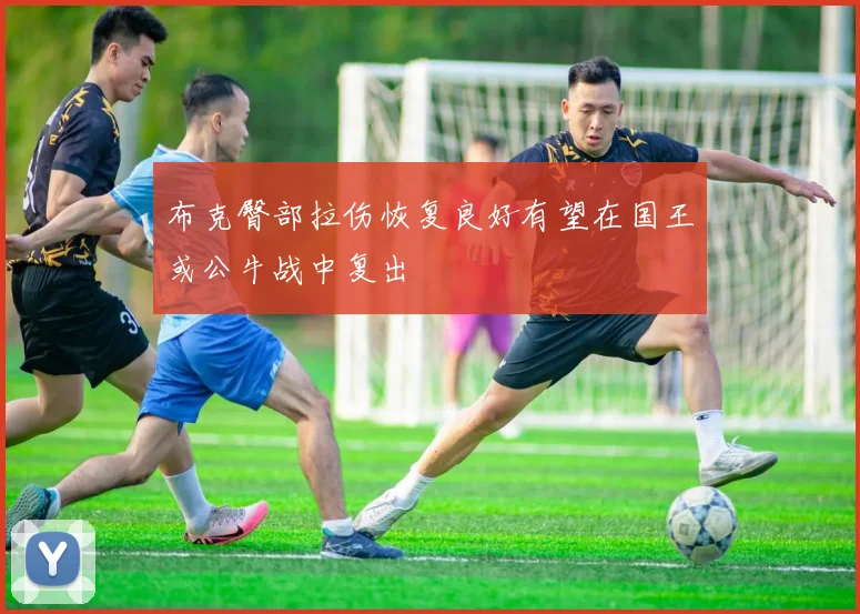 布克臀部拉伤恢复良好有望在国王或公牛战中复出