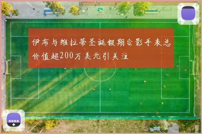 伊布与维拉蒂圣诞假期合影手表总价值超200万美元引关注