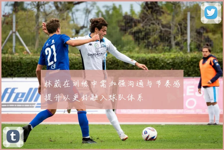 林葳在训练中需加强沟通与节奏感提升以更好融入球队体系