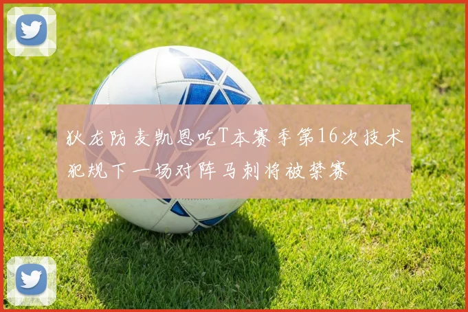 狄龙防麦凯恩吃T本赛季第16次技术犯规下一场对阵马刺将被禁赛