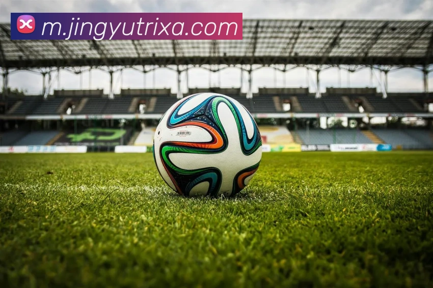 鲸鱼体育APP 封面图