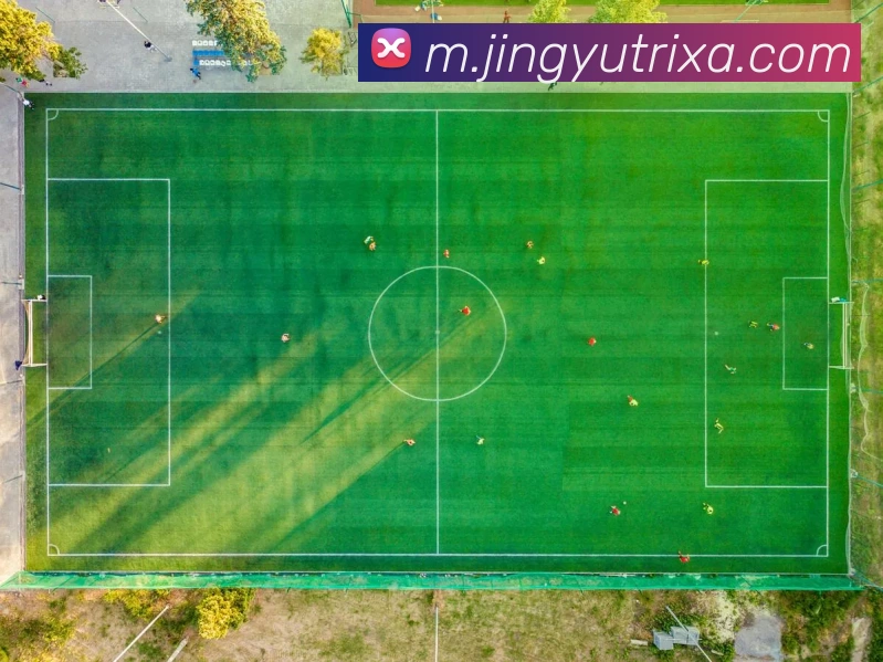 数据防护可视化